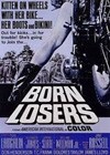 The Born Losers (1967)3.jpg